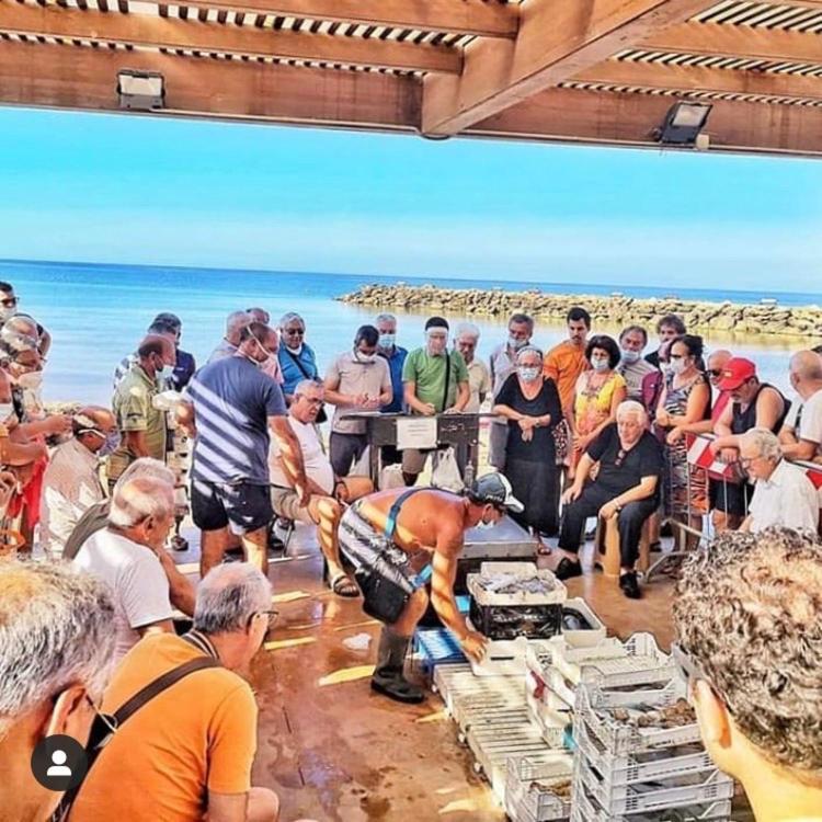 La Terrazza Sul Mar Mediterraneo Marinella di Selinunte Ngoại thất bức ảnh